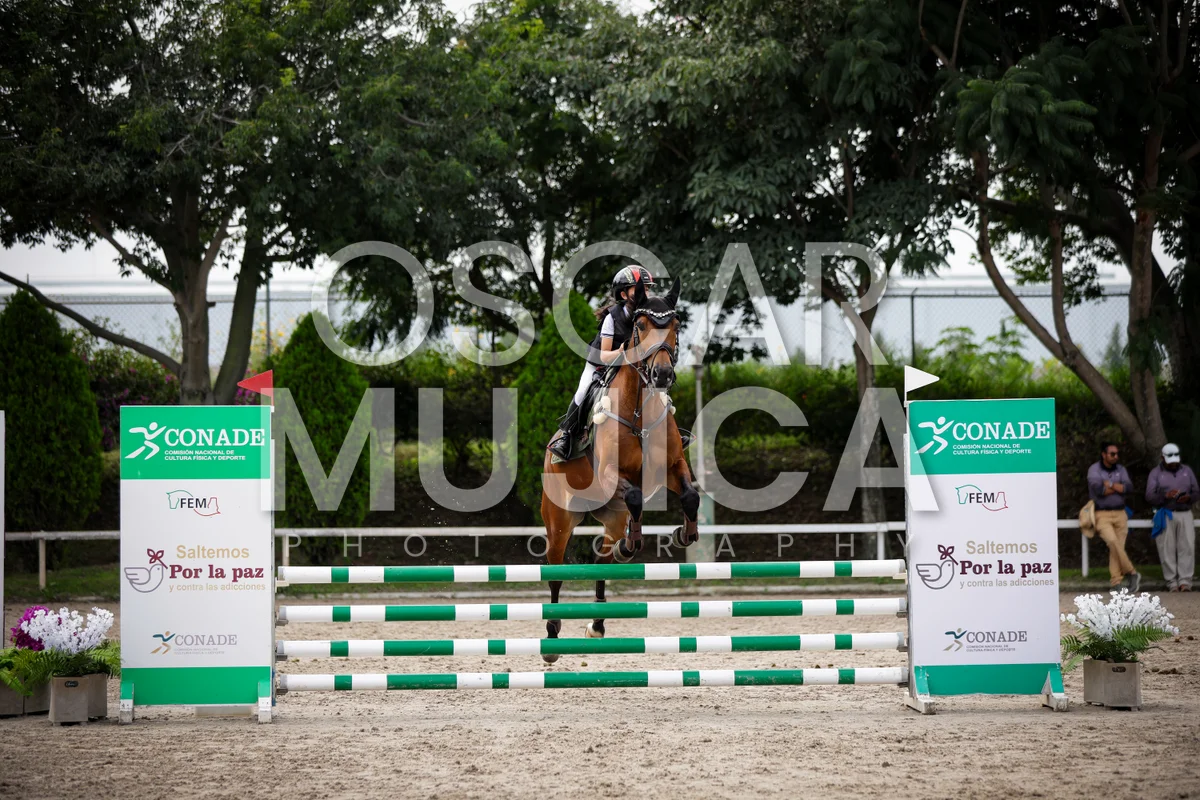Foto de MUXI OLIVIA YAO