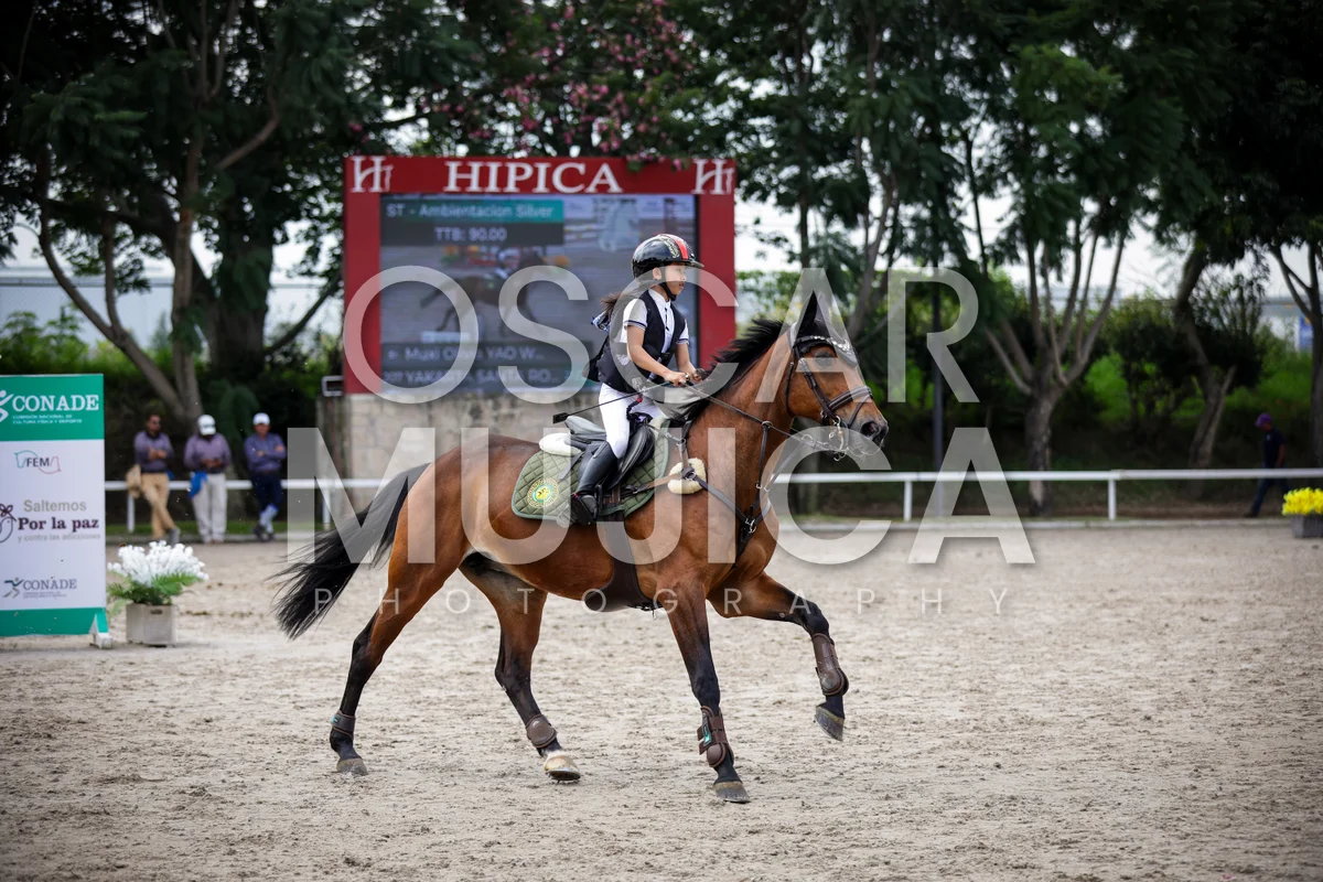 Foto de MUXI OLIVIA YAO