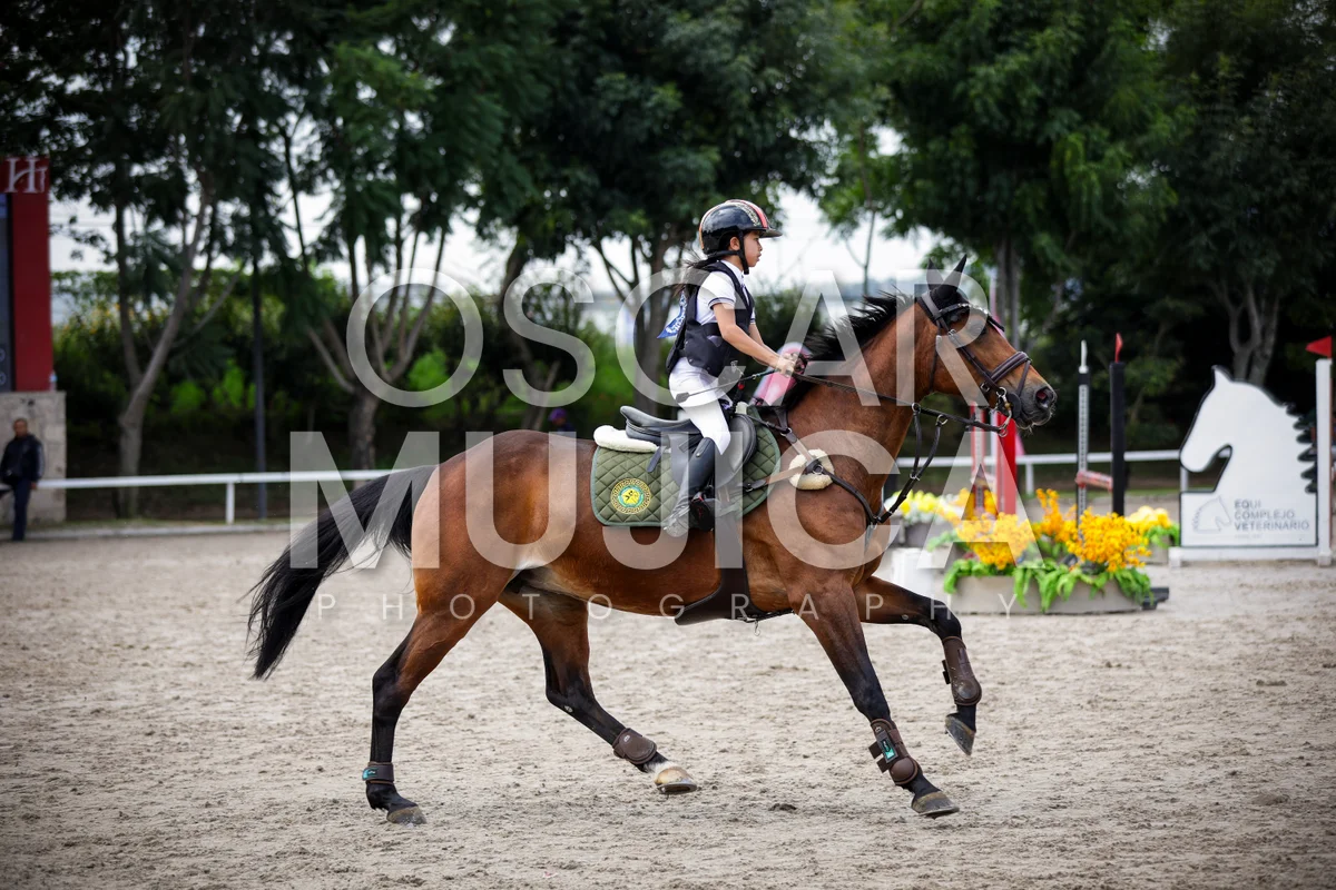 Foto de MUXI OLIVIA YAO