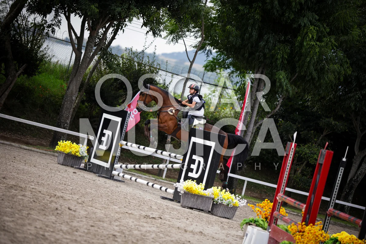Foto de MUXI OLIVIA YAO