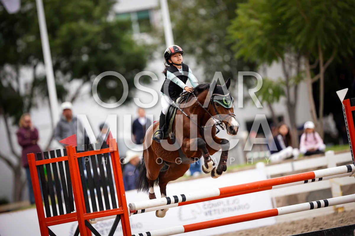 Foto de MUXI OLIVIA YAO