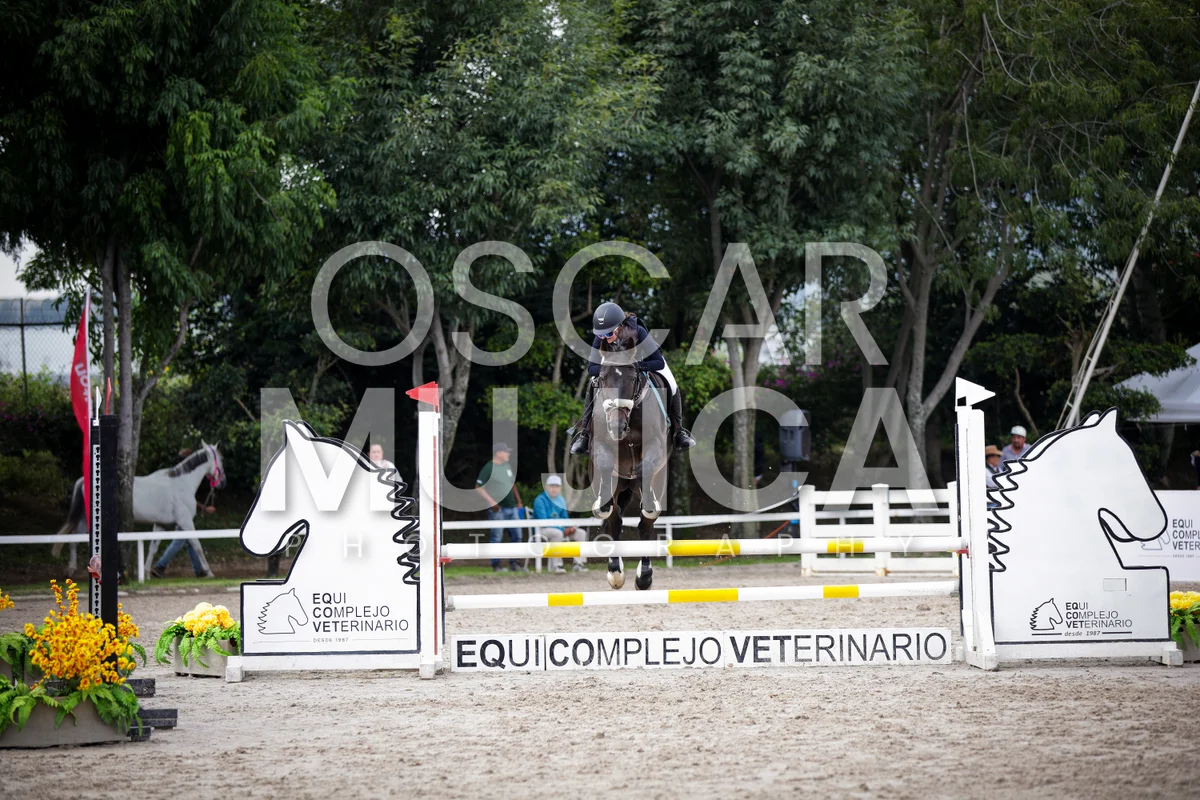 Foto de NATALIA BRETON