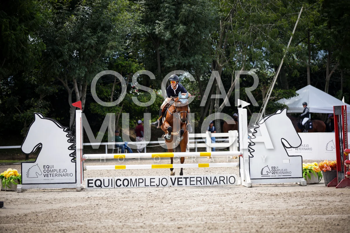 Foto de PATRICIO VALLEJO