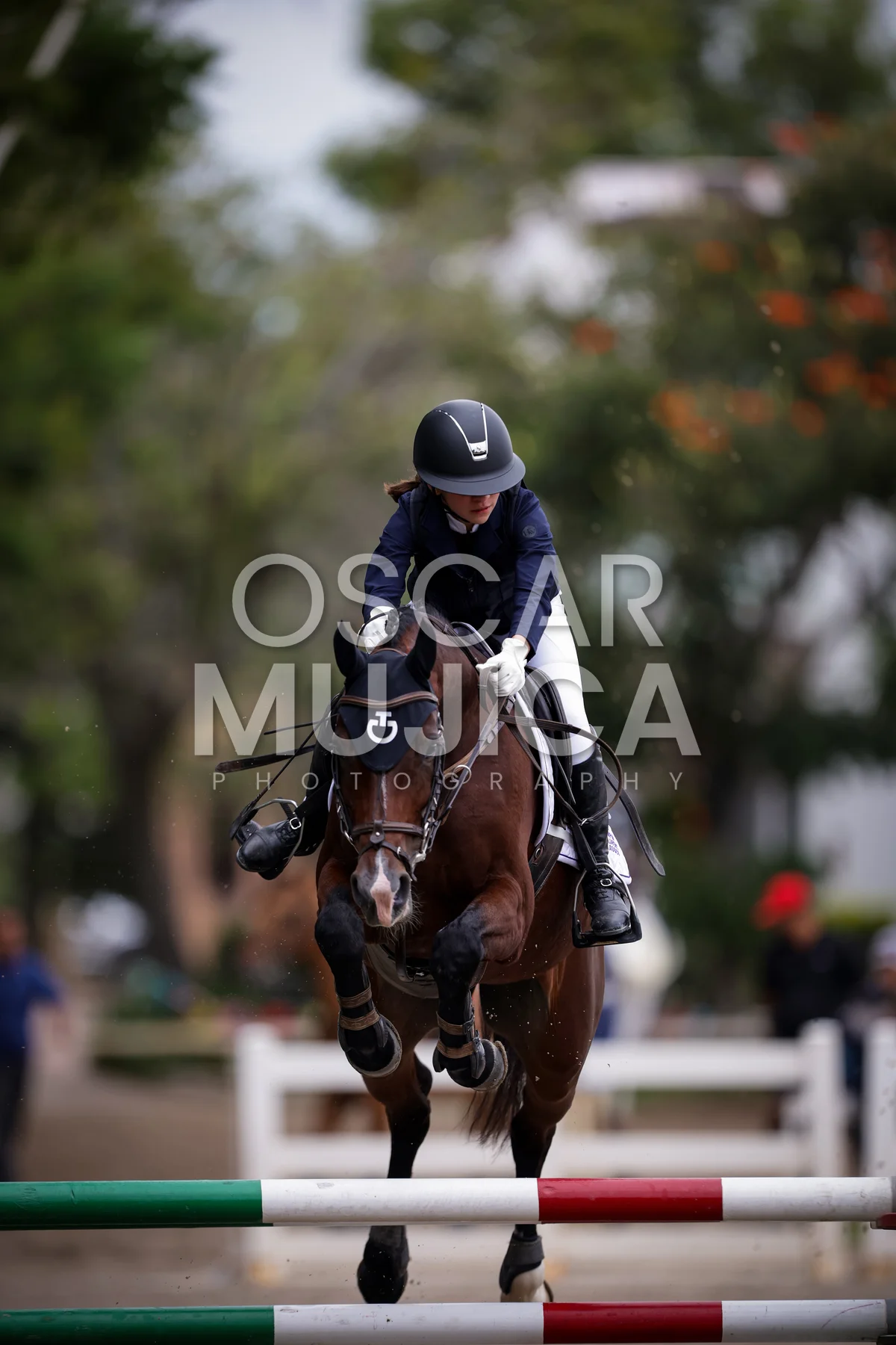 Foto de PAULA GALLARDO