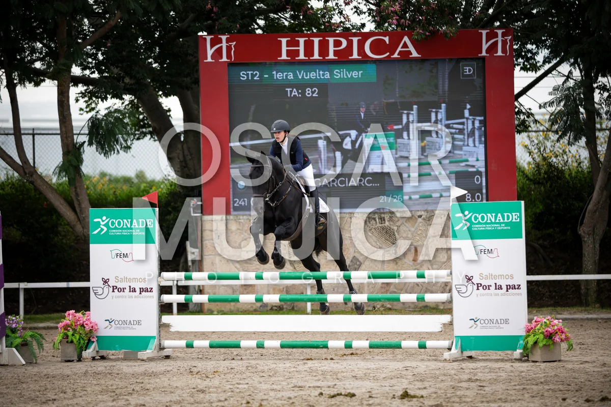 Foto de REGINA GARCIARCE