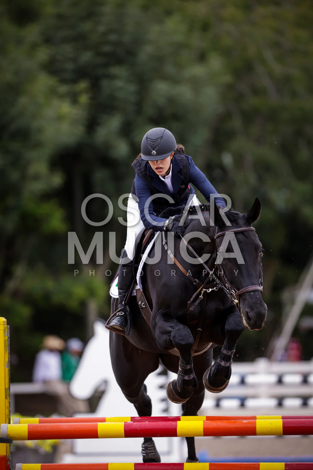 Foto de REGINA GARCIARCE
