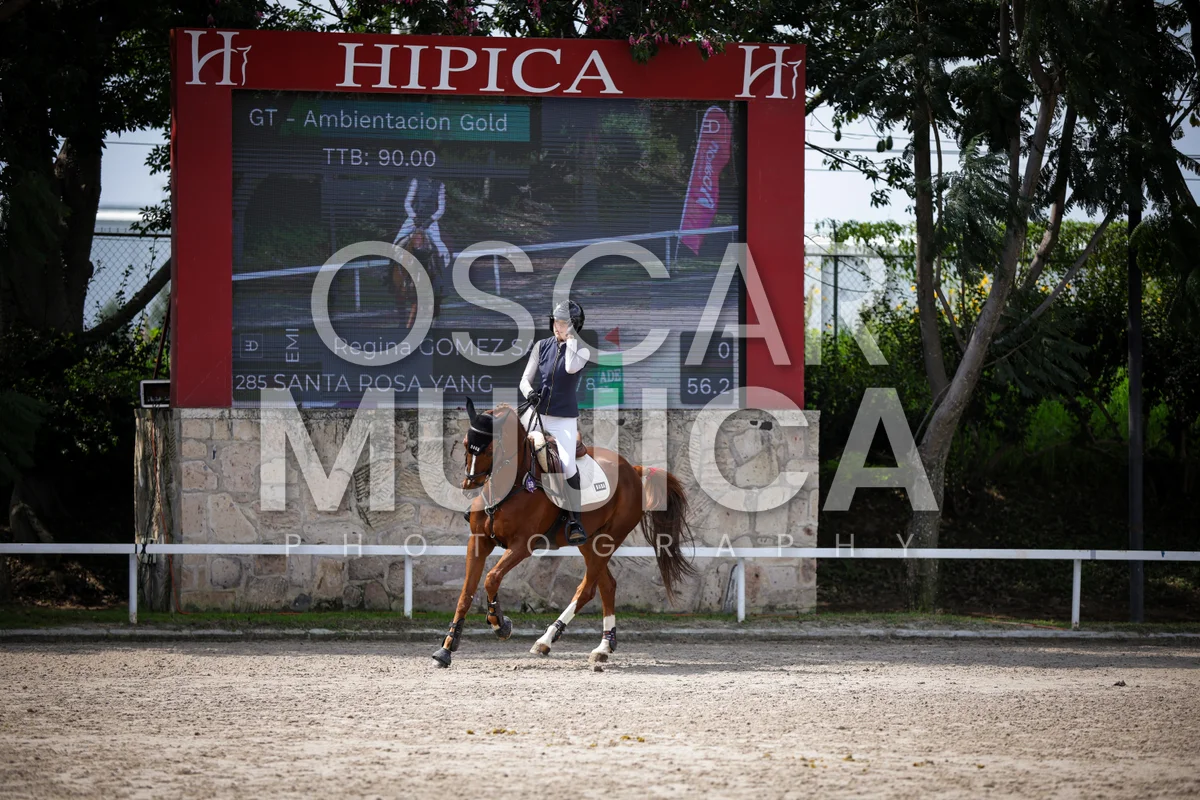 Foto de REGINA GOMEZ