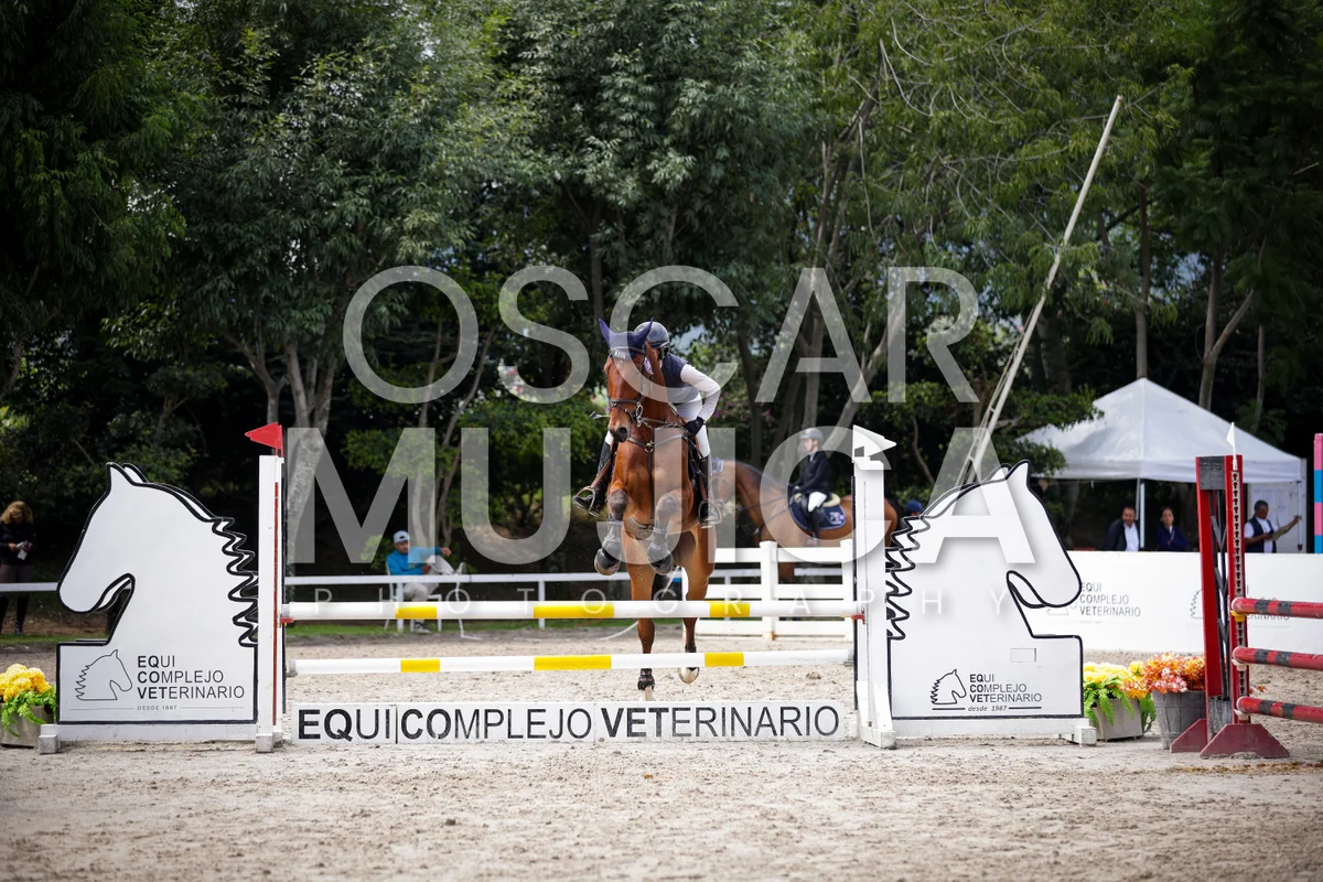 Foto de REGINA GOMEZ