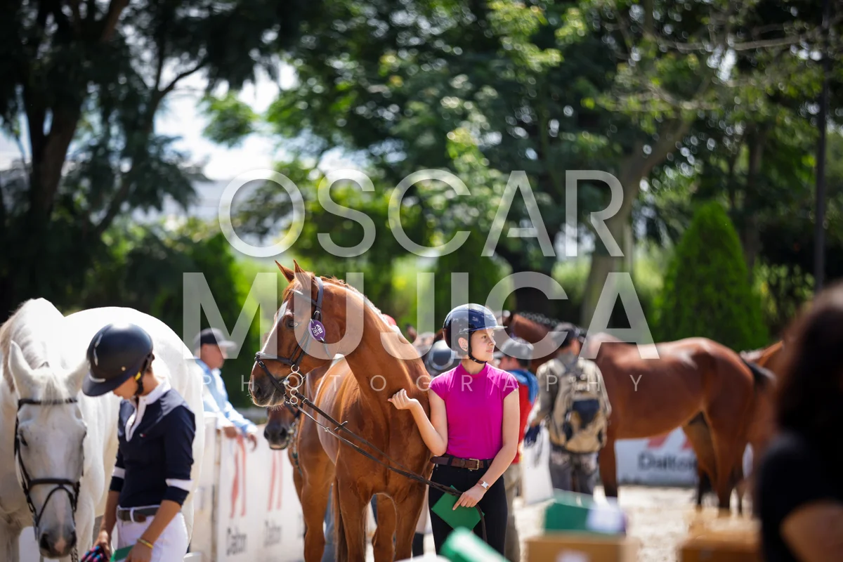 Foto de REGINA GOMEZ