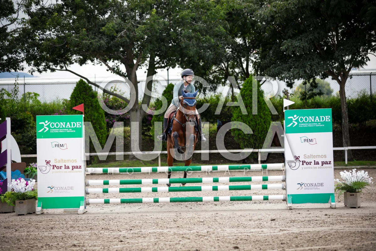 Foto de REGINA ROMERO