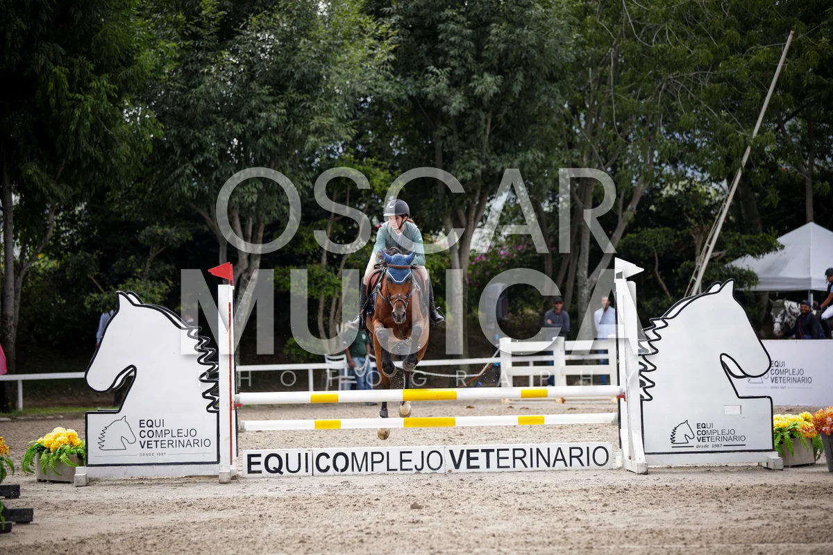 Foto de REGINA ROMERO