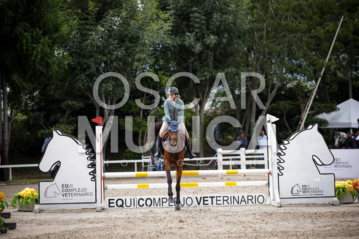 Foto de REGINA ROMERO