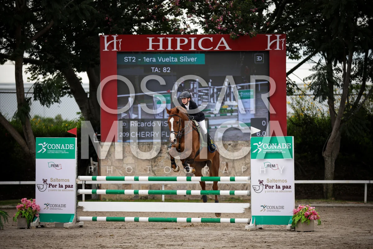 Foto de RICARDO VISINTINI