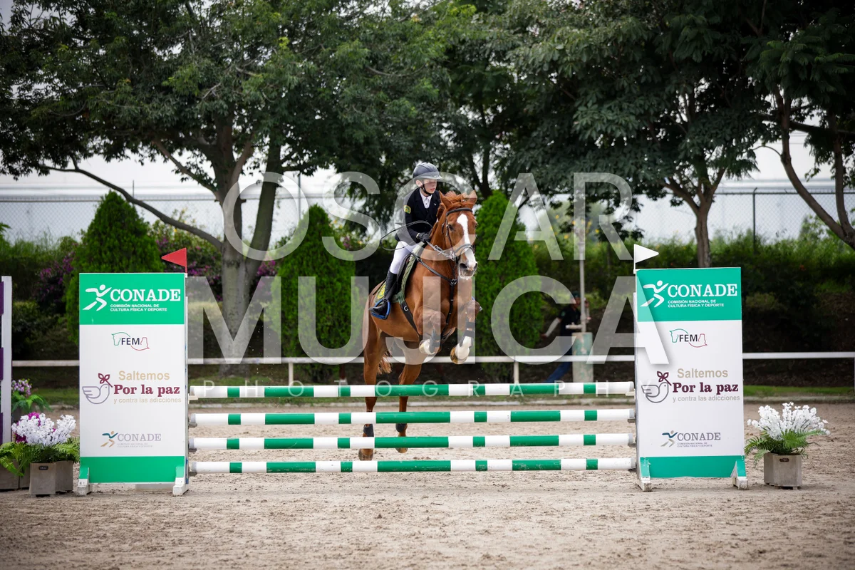 Foto de RICARDO VISINTINI