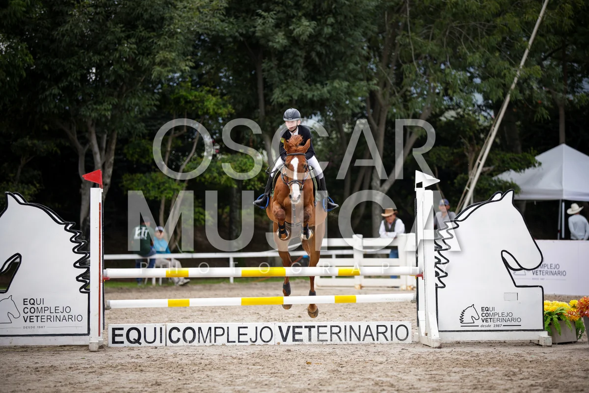 Foto de RICARDO VISINTINI