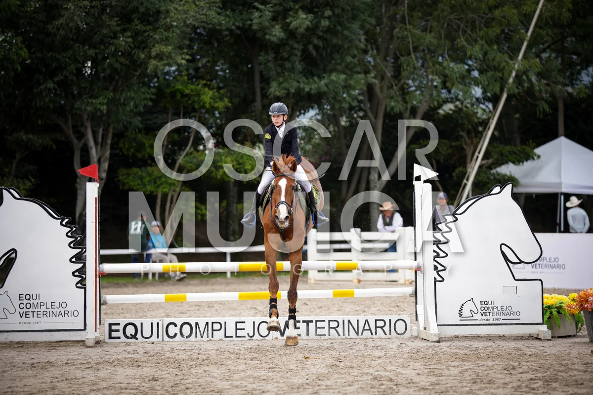 Foto de RICARDO VISINTINI
