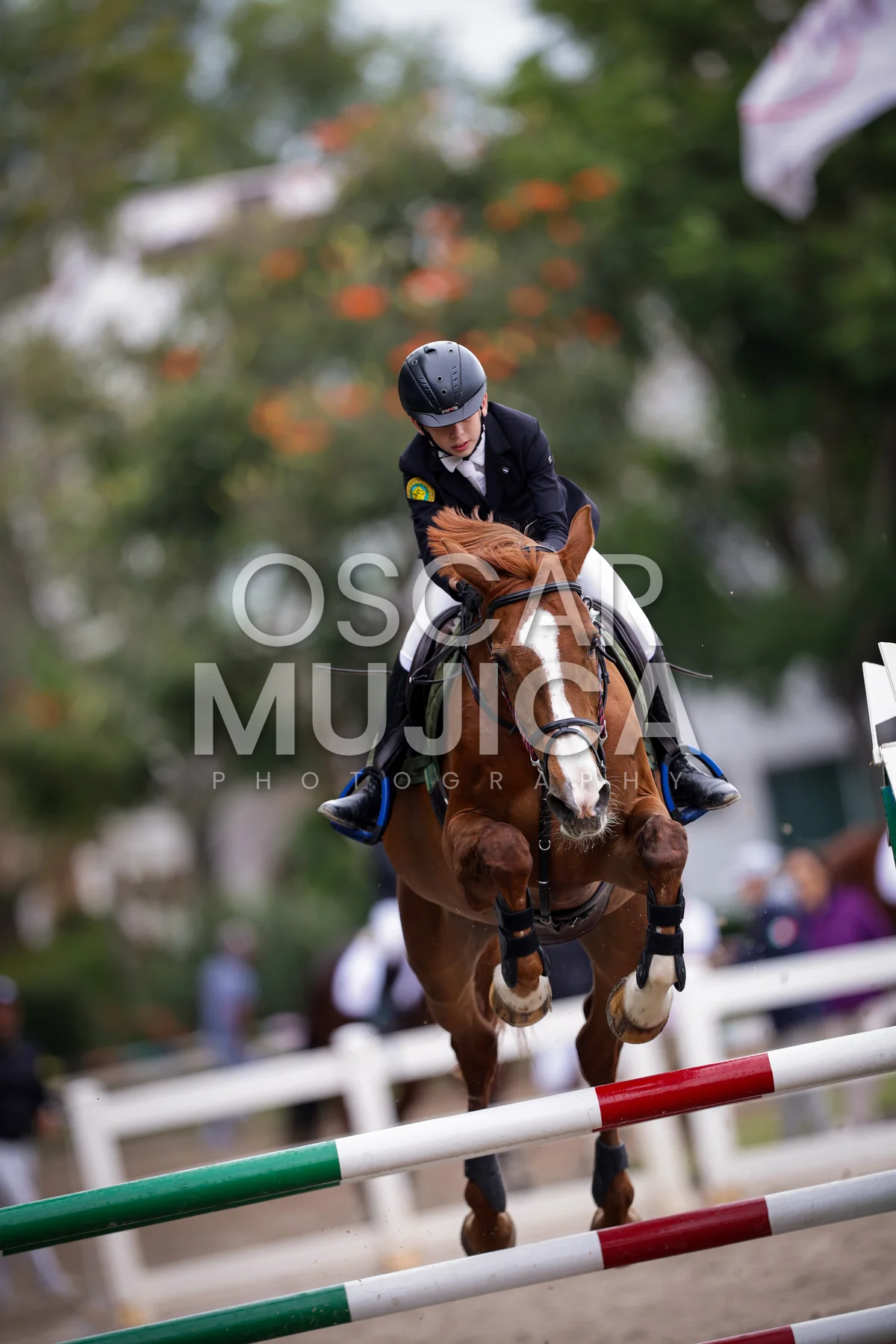 Foto de RICARDO VISINTINI