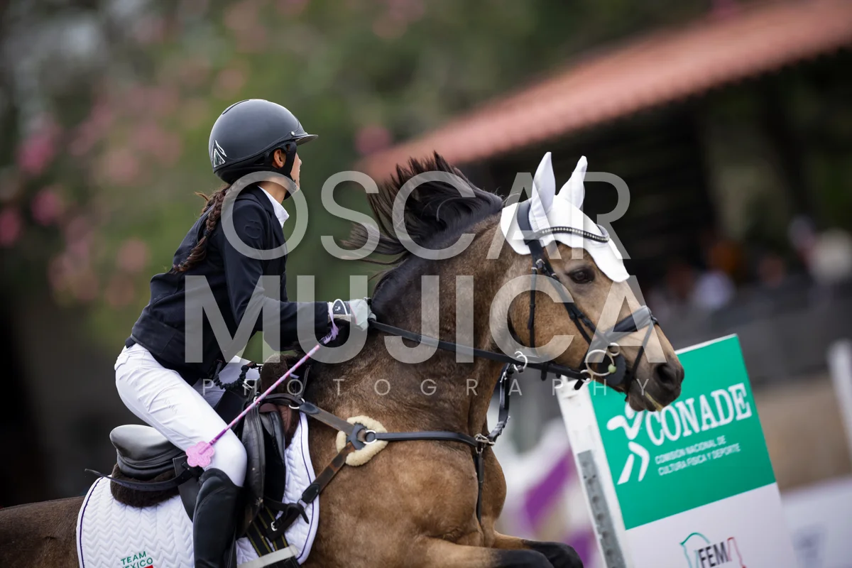 Foto de ROMINA SANTANA