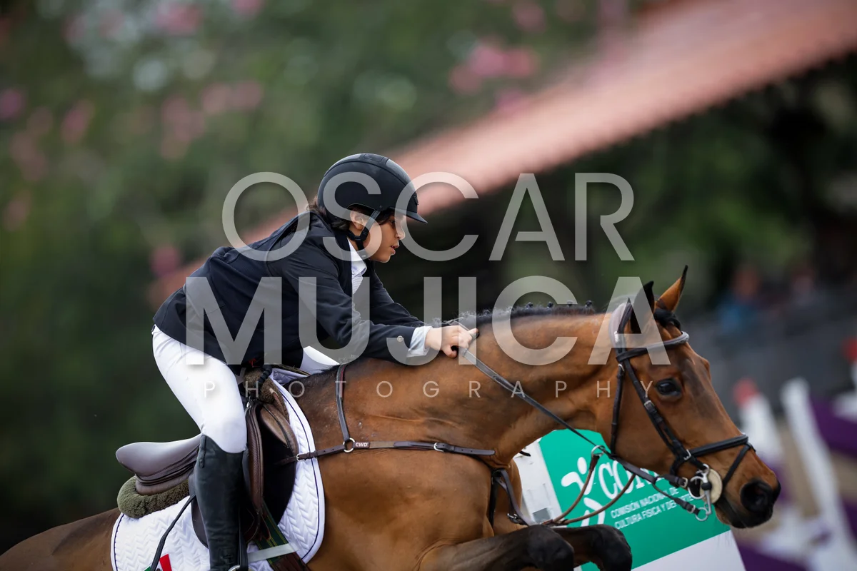Foto de SANTIAGO LORZA