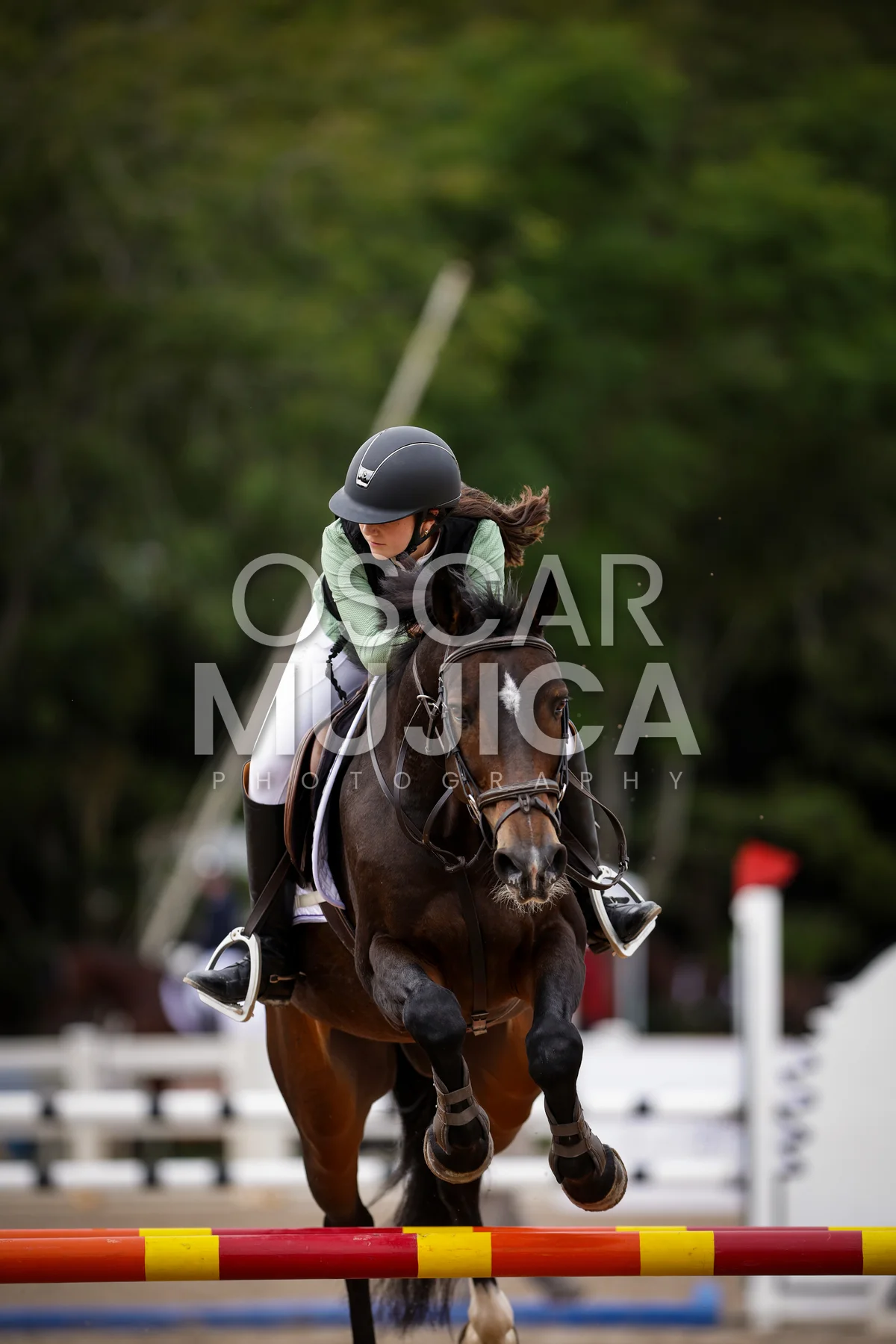 Foto de SOFIA DUEÑAS