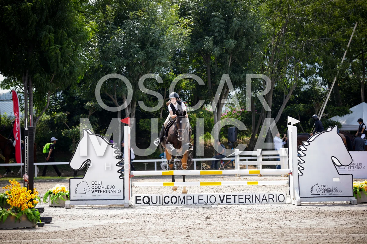 Foto de SOFIA DUEÑAS