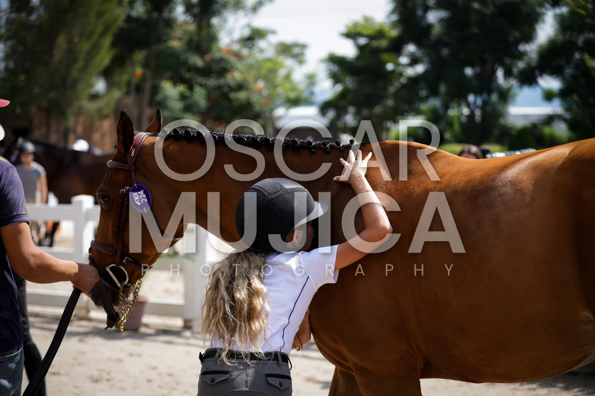 Foto de TESSA REYNOSO