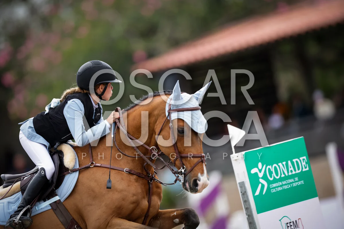 Foto de TESSA REYNOSO