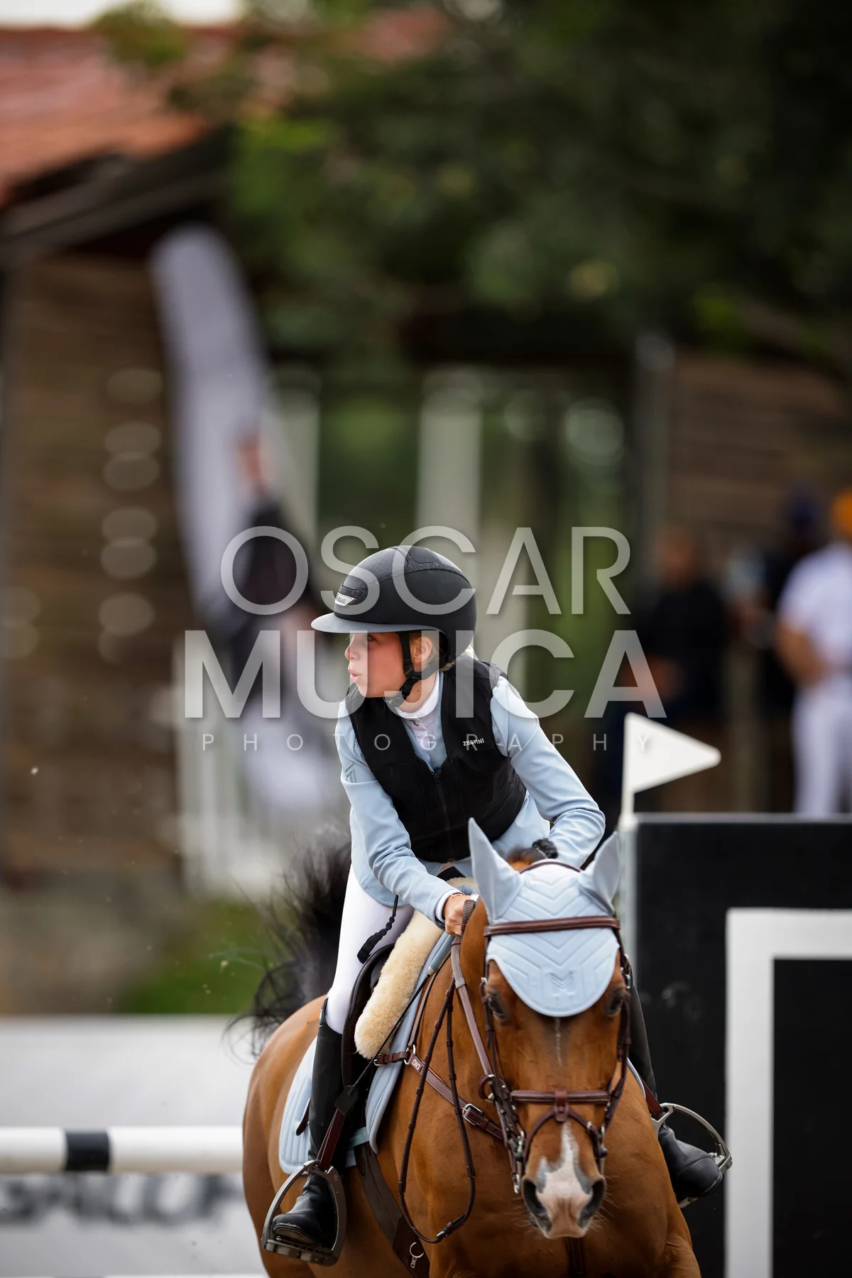 Foto de TESSA REYNOSO