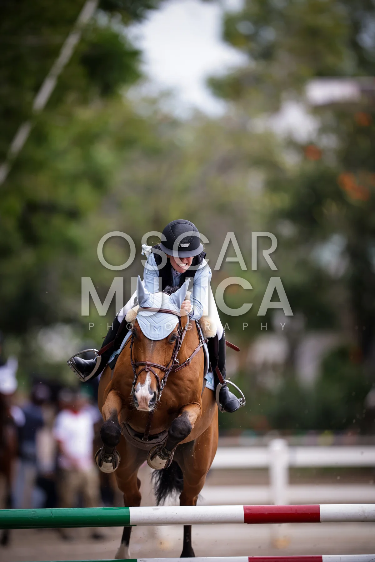 Foto de TESSA REYNOSO