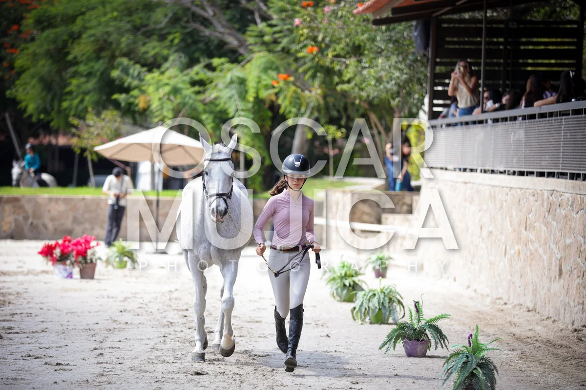 Foto de VET CHECK FEI