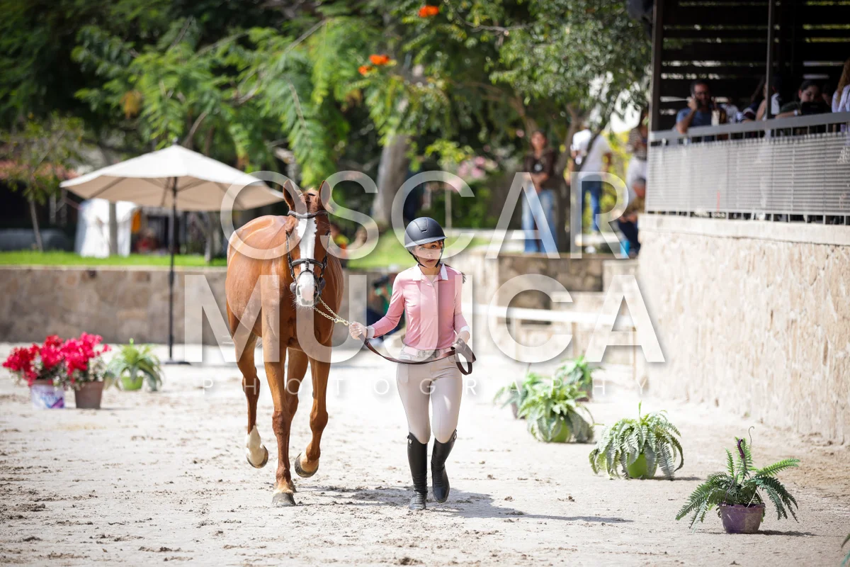 Foto de VET CHECK FEI