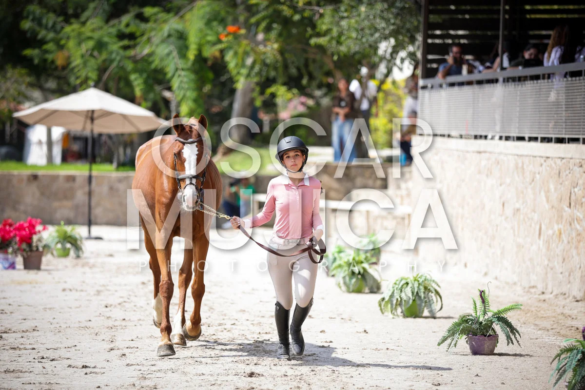 Foto de VET CHECK FEI