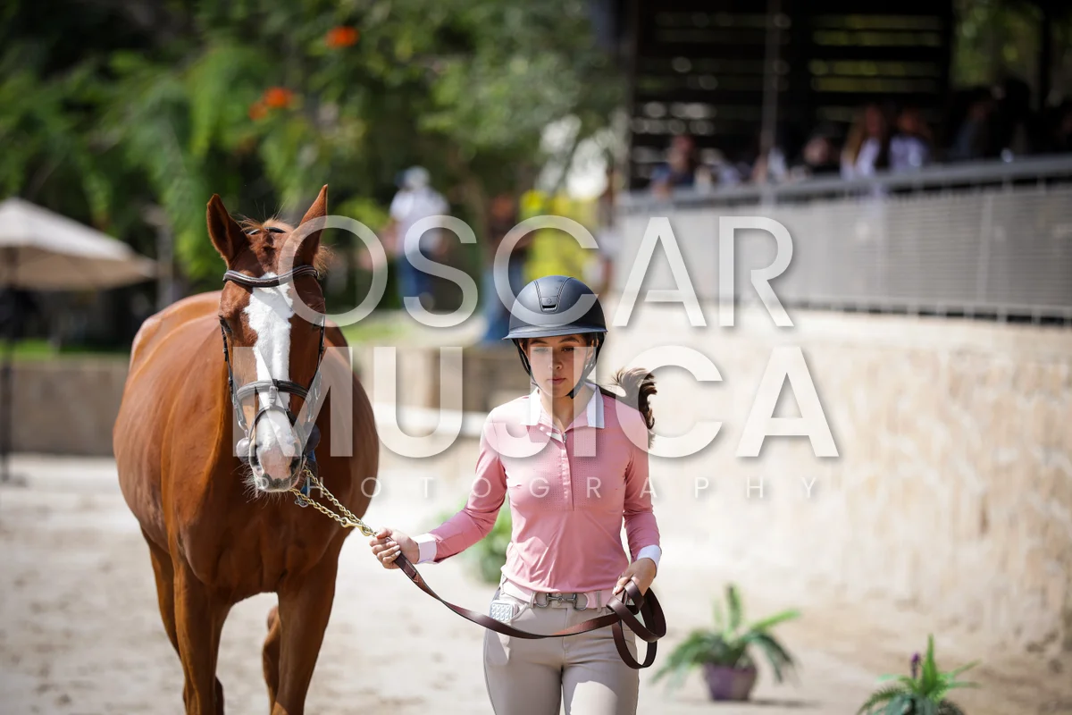 Foto de VET CHECK FEI