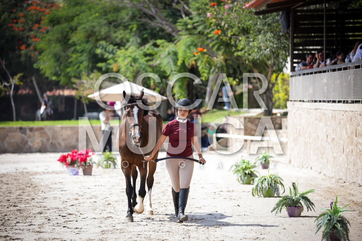 Foto de VET CHECK FEI
