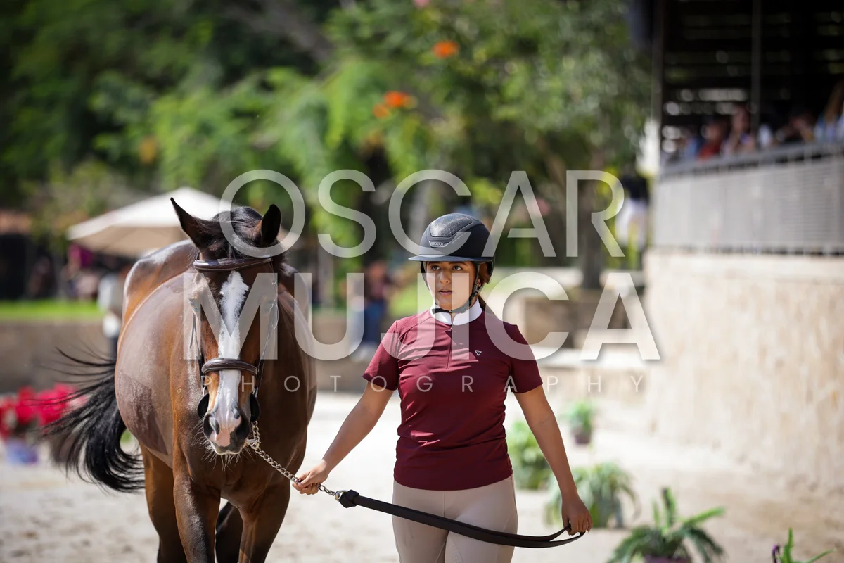 Foto de VET CHECK FEI