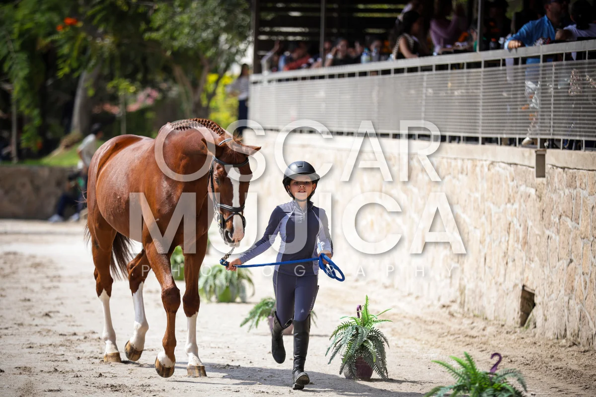 Foto de VET CHECK FEI