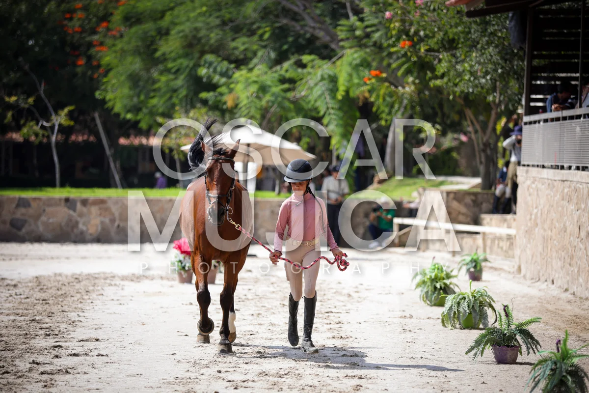 Foto de VET CHECK FEI