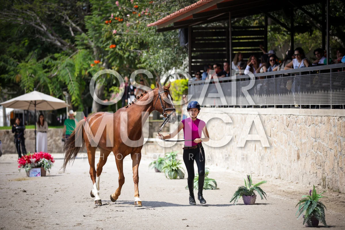 Foto de VET CHECK FEI