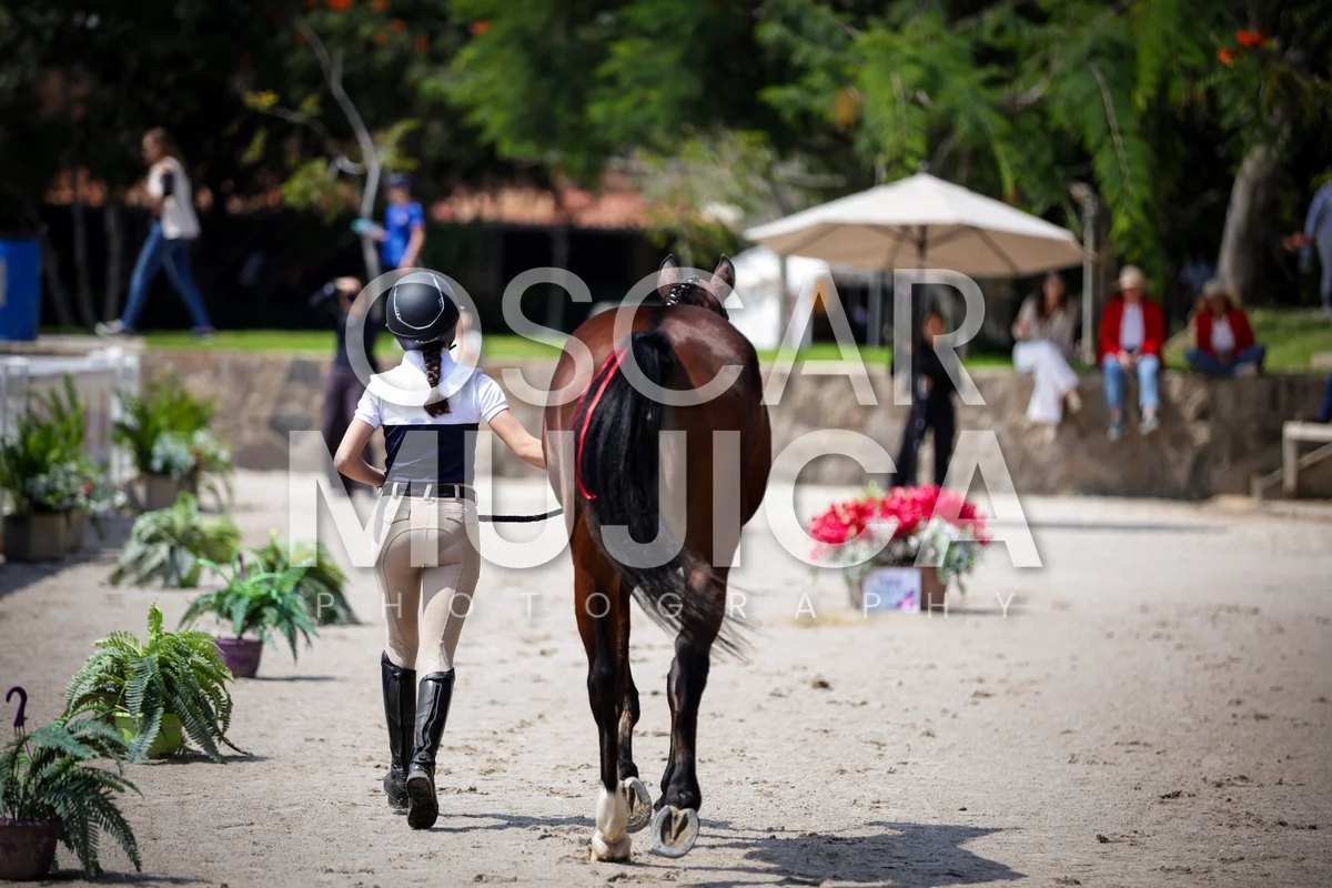 Foto de VET CHECK FEI