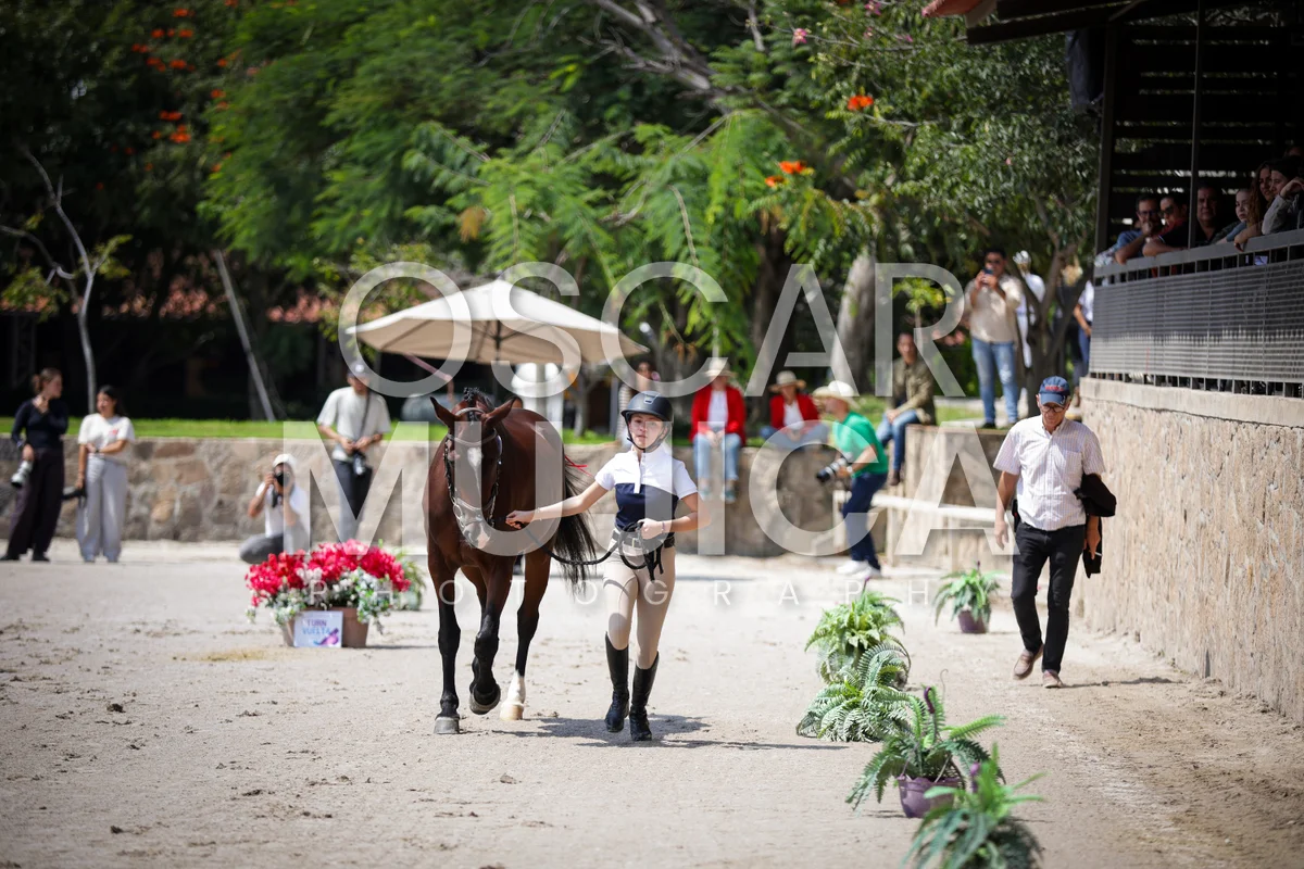 Foto de VET CHECK FEI