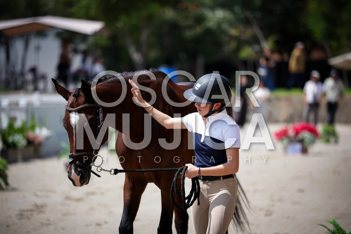 Foto de VET CHECK FEI