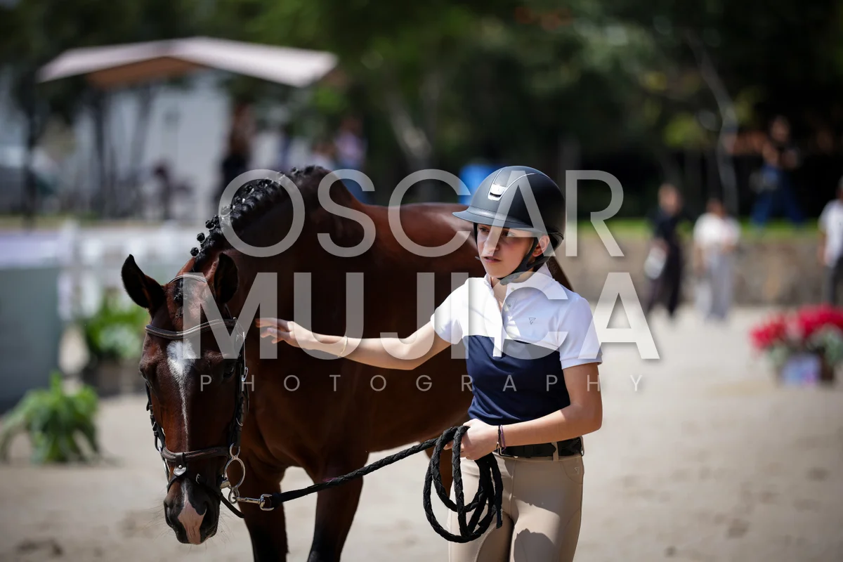 Foto de VET CHECK FEI