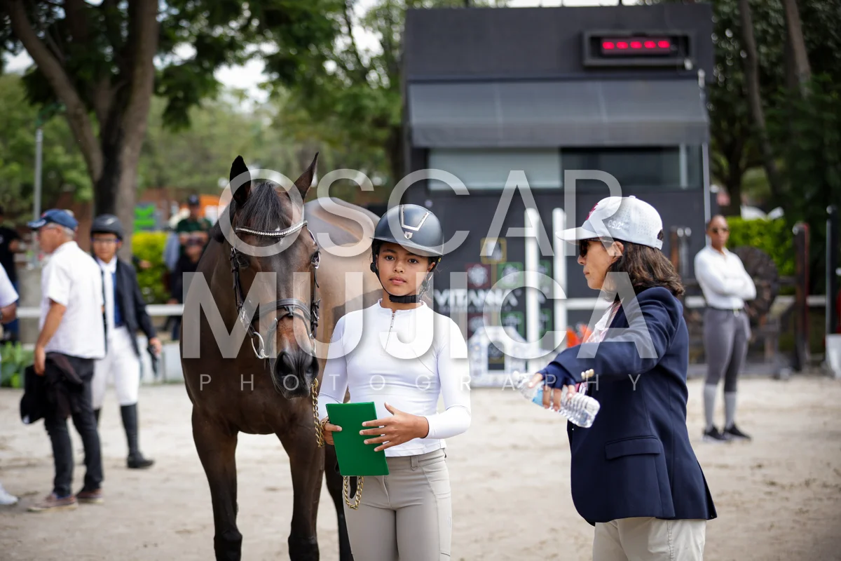 Foto de VET CHECK FEI
