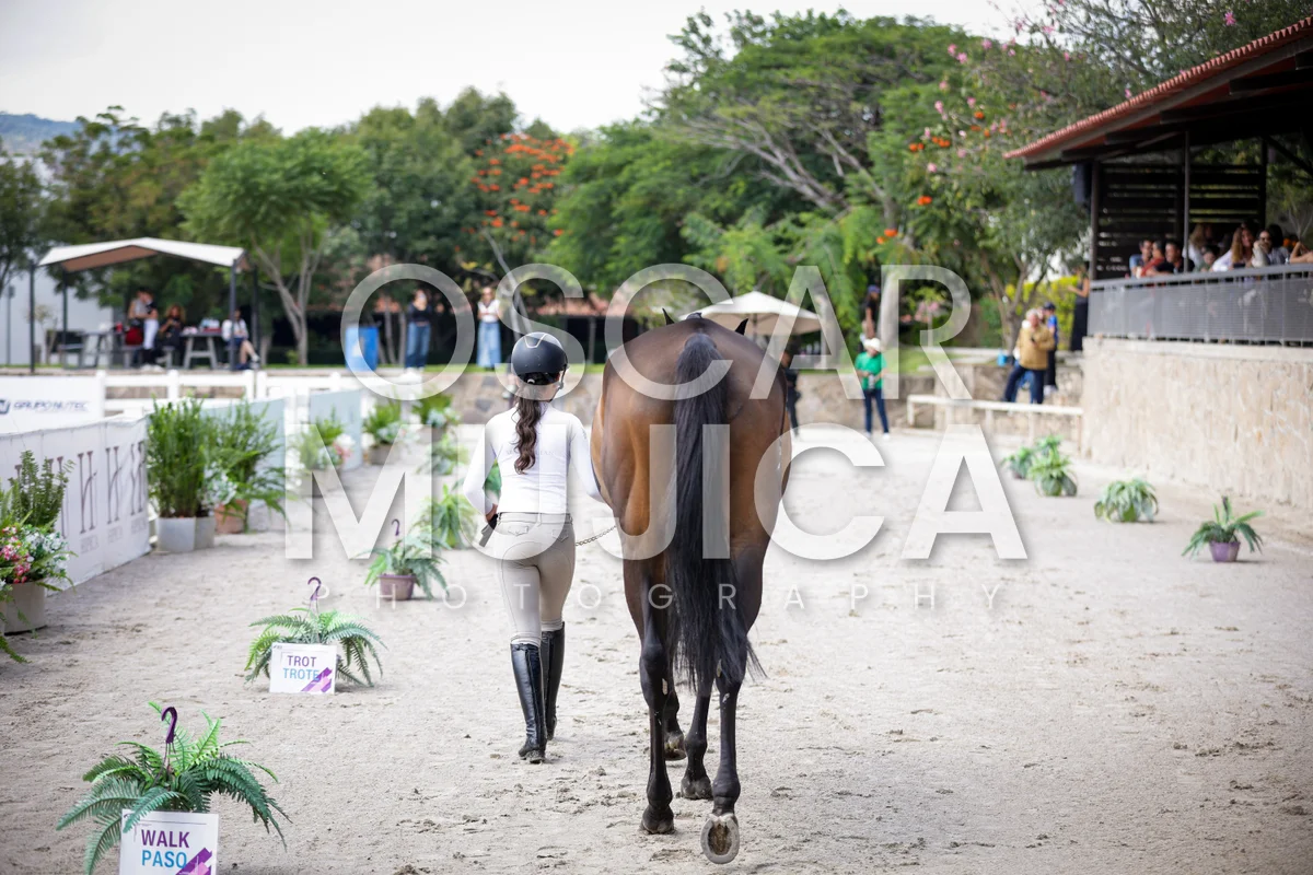Foto de VET CHECK FEI