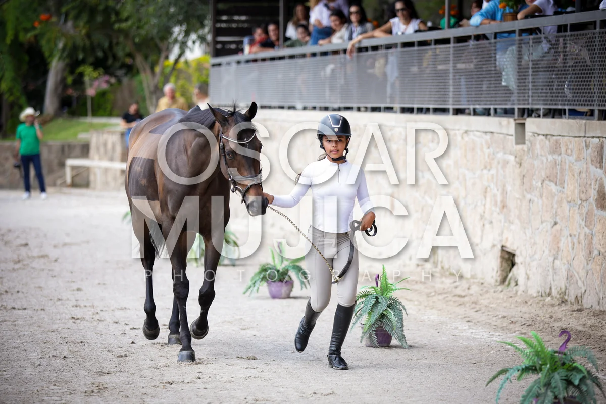 Foto de VET CHECK FEI