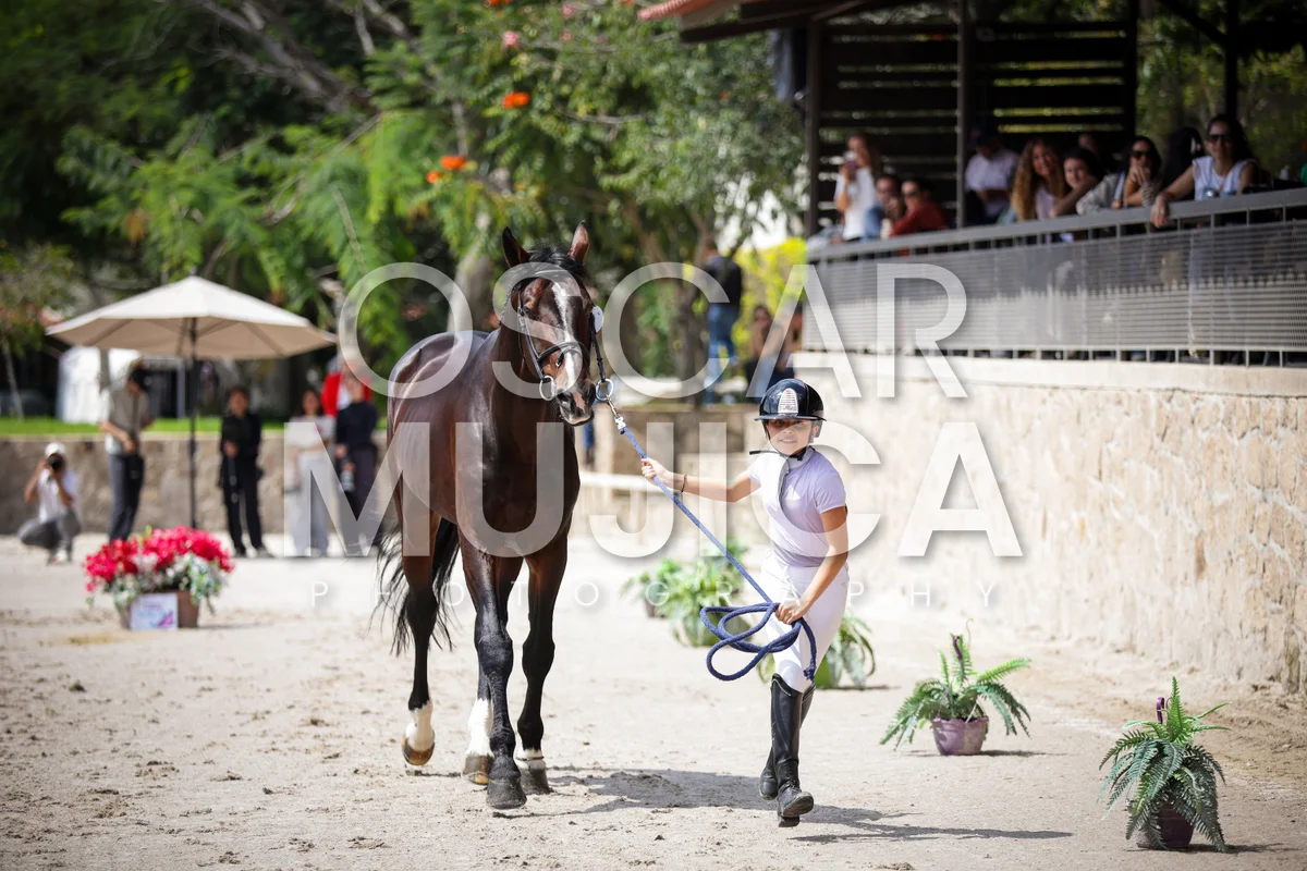 Foto de VET CHECK FEI