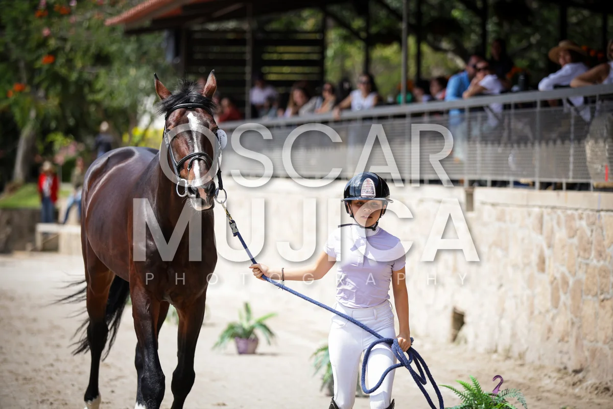 Foto de VET CHECK FEI