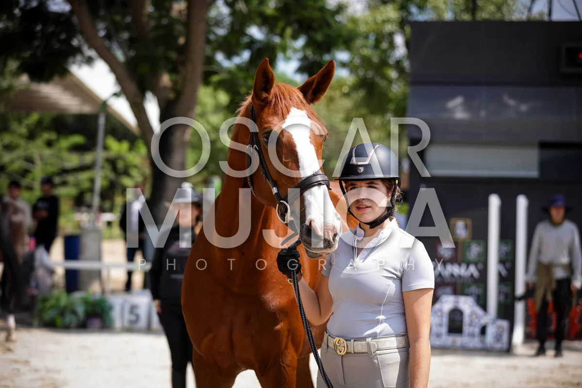 Foto de VET CHECK FEI