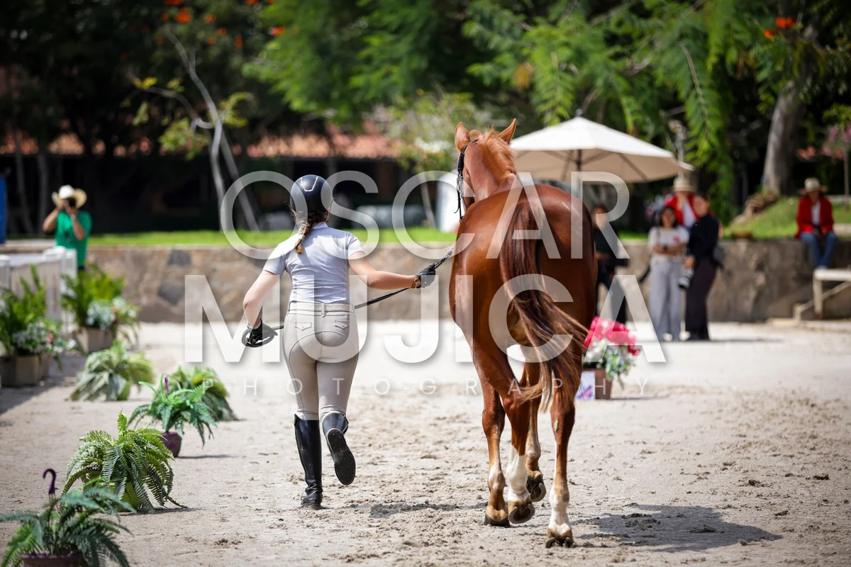 Foto de VET CHECK FEI