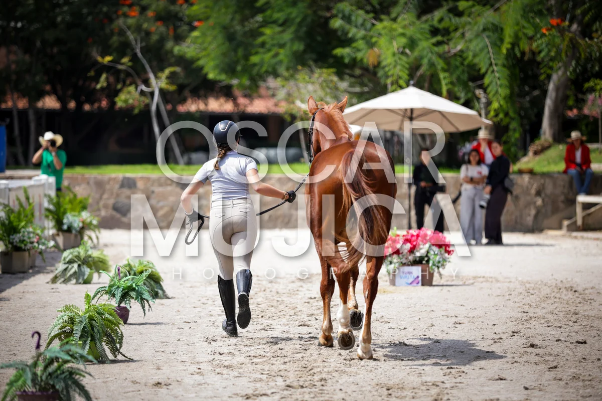 Foto de VET CHECK FEI